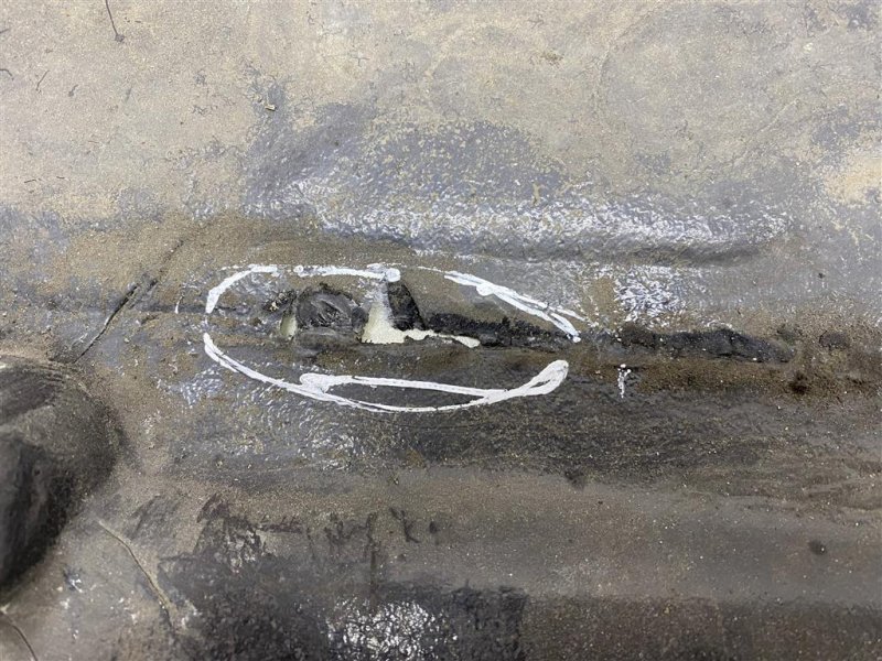 Защита днища пыльник, 3000 рублей, Севастополь