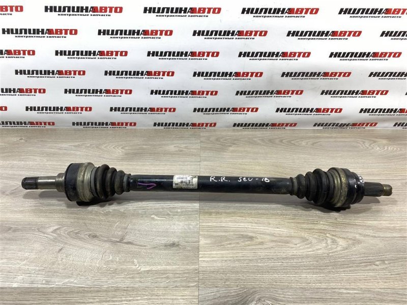 Привод, 4000 рублей, Севастополь