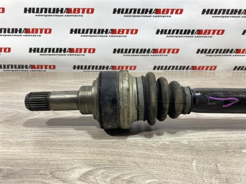 Привод, 4000 рублей, Севастополь