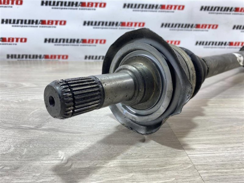 Привод, 5000 рублей, Севастополь