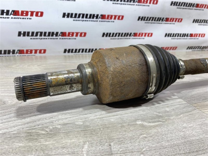 Привод, 3000 рублей, Севастополь