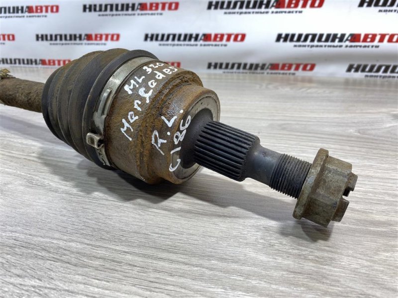 Привод, 3000 рублей, Севастополь