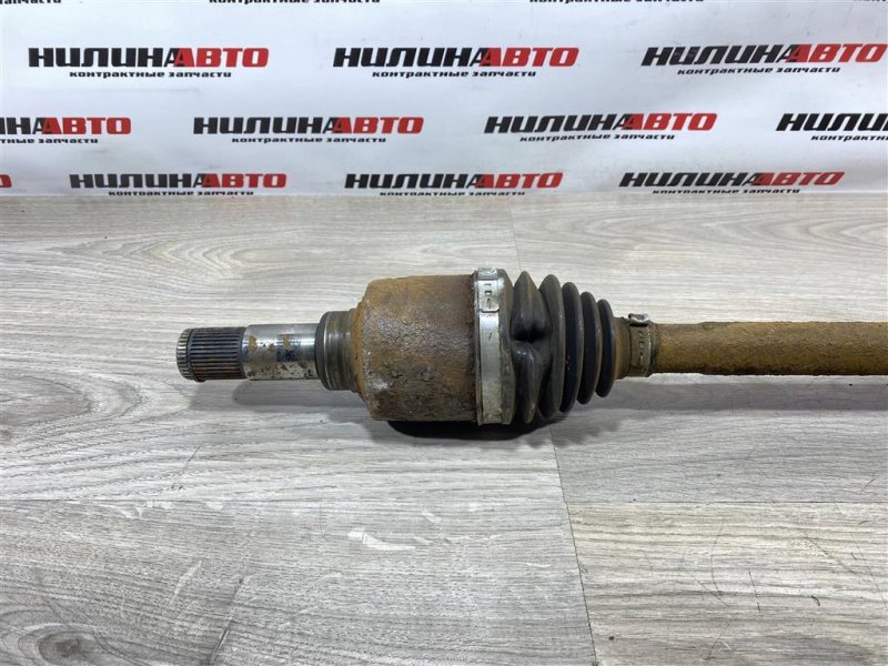 Привод, 3000 рублей, Севастополь