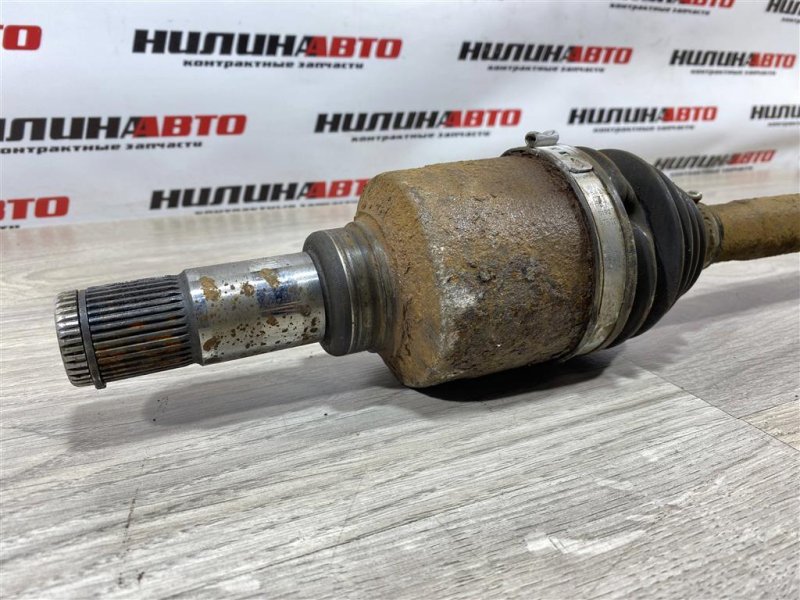 Привод, 3000 рублей, Севастополь