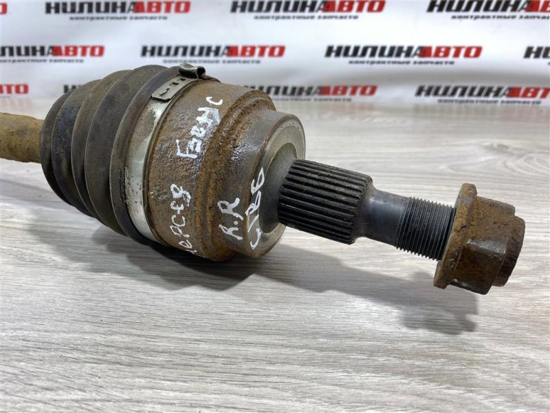 Привод, 3000 рублей, Севастополь