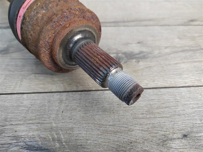 Привод, 1000 рублей, Москва