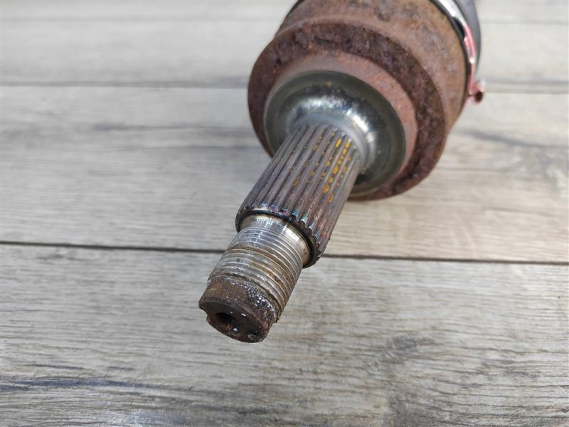 Привод, 1000 рублей, Москва