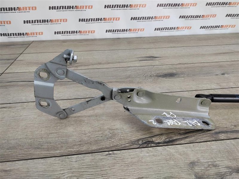 Петля капота, 500 рублей, Москва