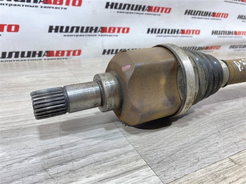 Привод, 2500 рублей, Севастополь