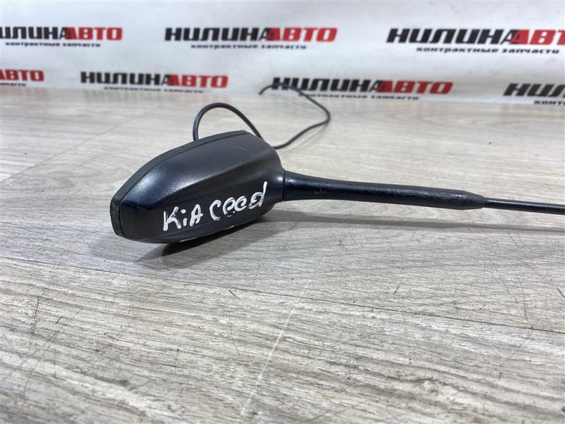 Антенна, 1000 рублей, Севастополь