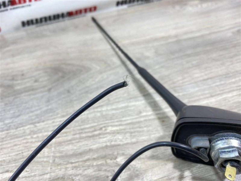 Антенна, 1000 рублей, Севастополь