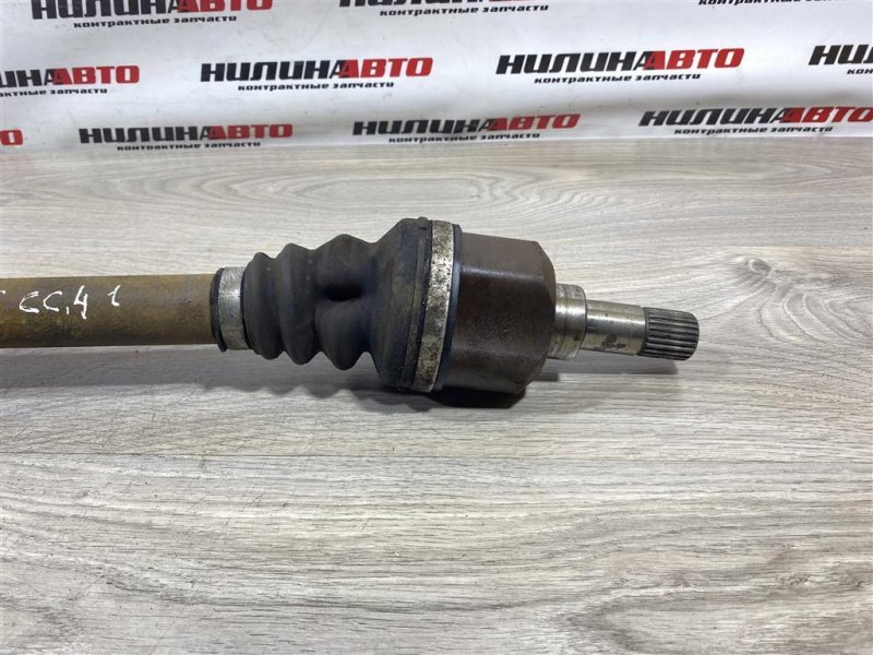 Привод, 2500 рублей, Севастополь