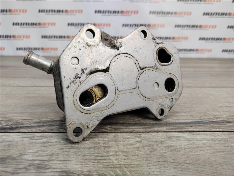 Радиатор масляный, 800 рублей, Москва