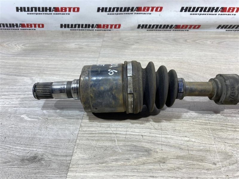 Привод, 10000 рублей, Севастополь