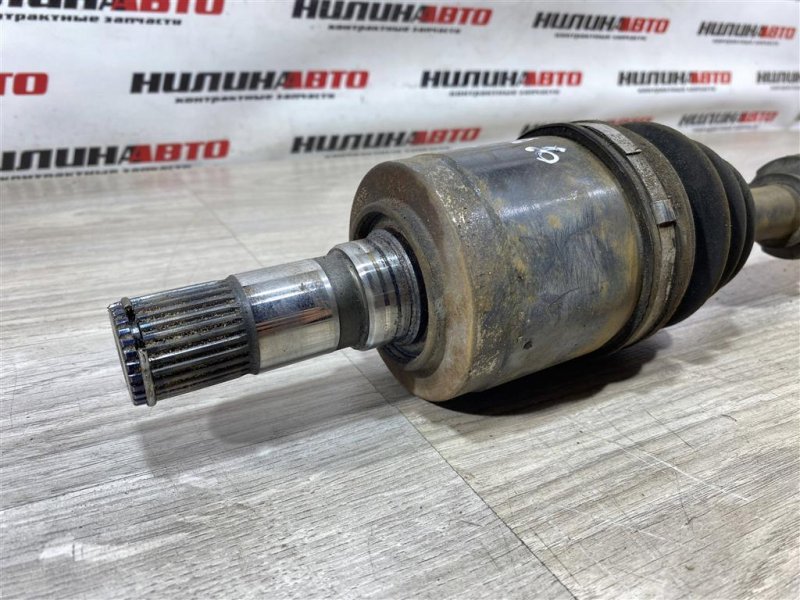 Привод, 10000 рублей, Севастополь