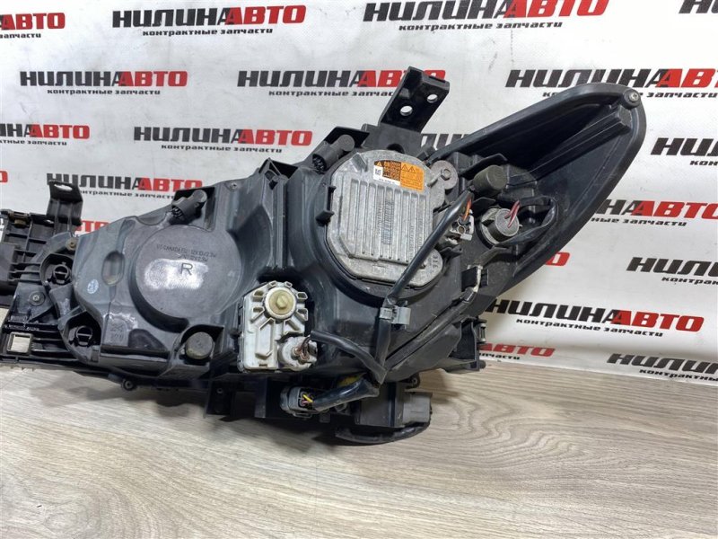 Фара ксенон XENON, 30000 рублей, Севастополь