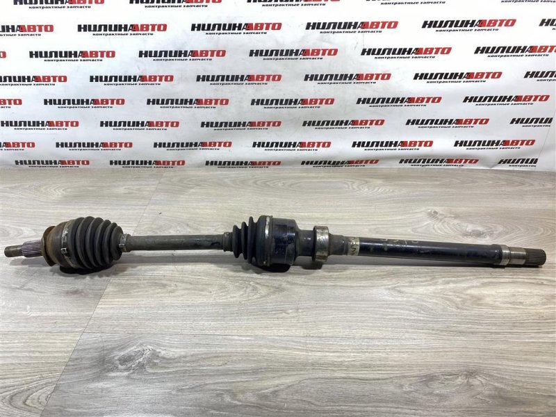 Привод, 7500 рублей, Севастополь