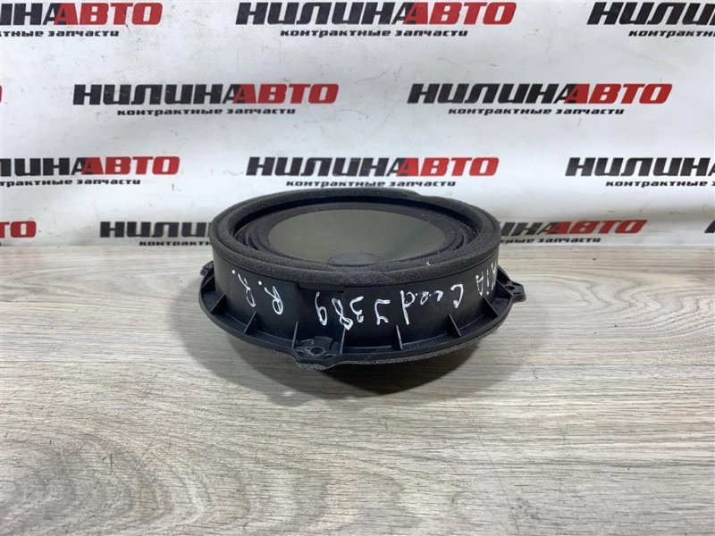 Динамик, 1000 рублей, Севастополь