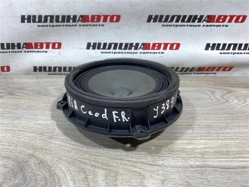 Динамик, 1000 рублей, Севастополь