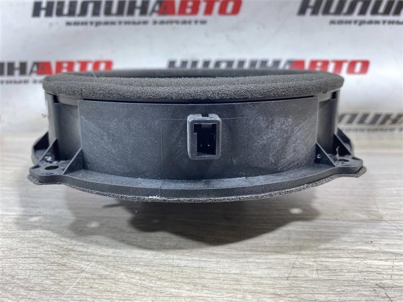 Динамик, 1000 рублей, Севастополь