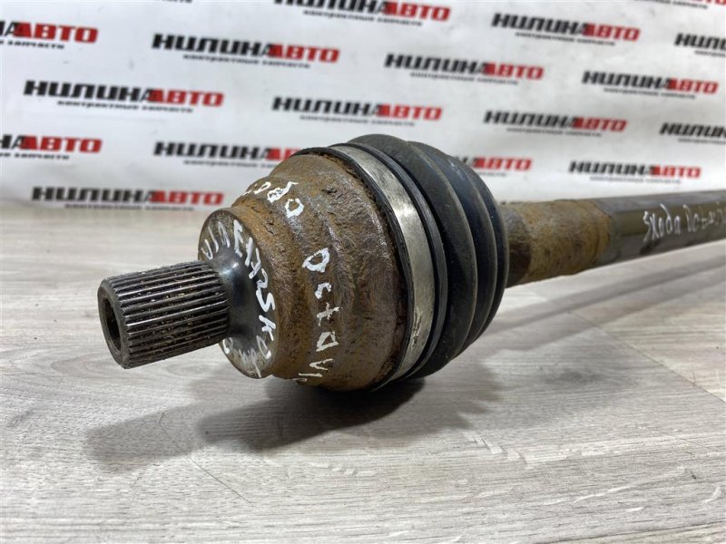 Привод, 4000 рублей, Севастополь