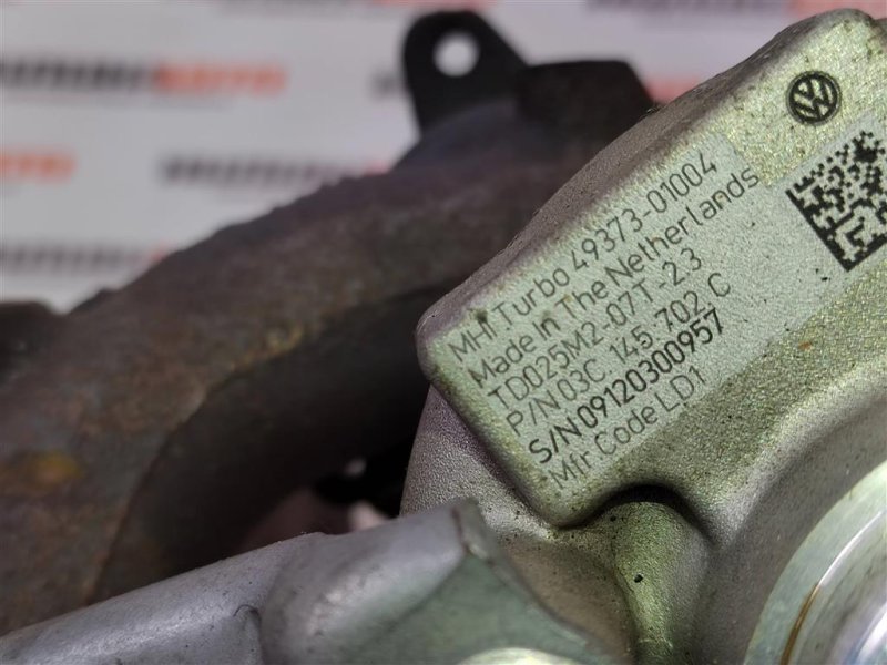 Турбина, 12000 рублей, Москва