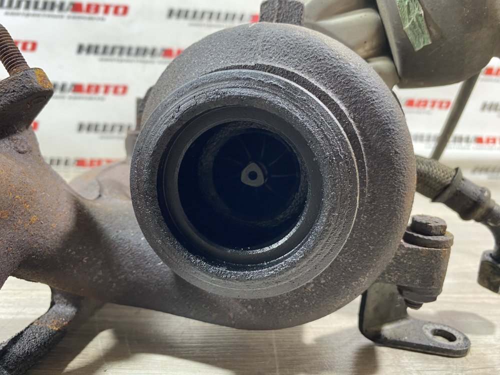 Турбина, 14000 рублей, Севастополь