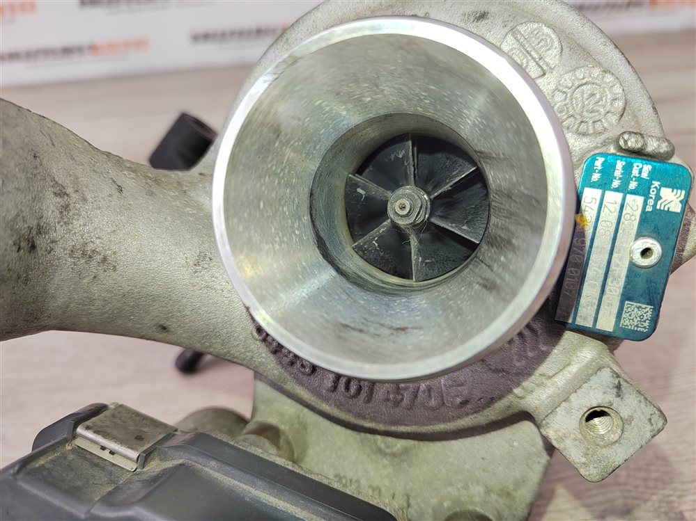 Турбина, 18000 рублей, Москва