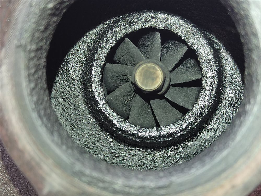 Турбина, 18000 рублей, Москва