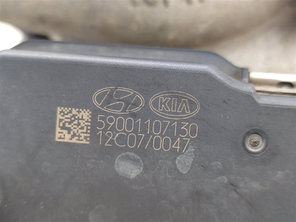 Турбина, 18000 рублей, Москва