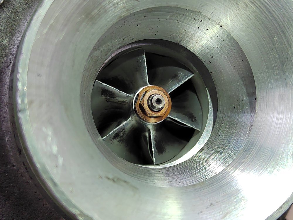 Турбина, 14000 рублей, Москва