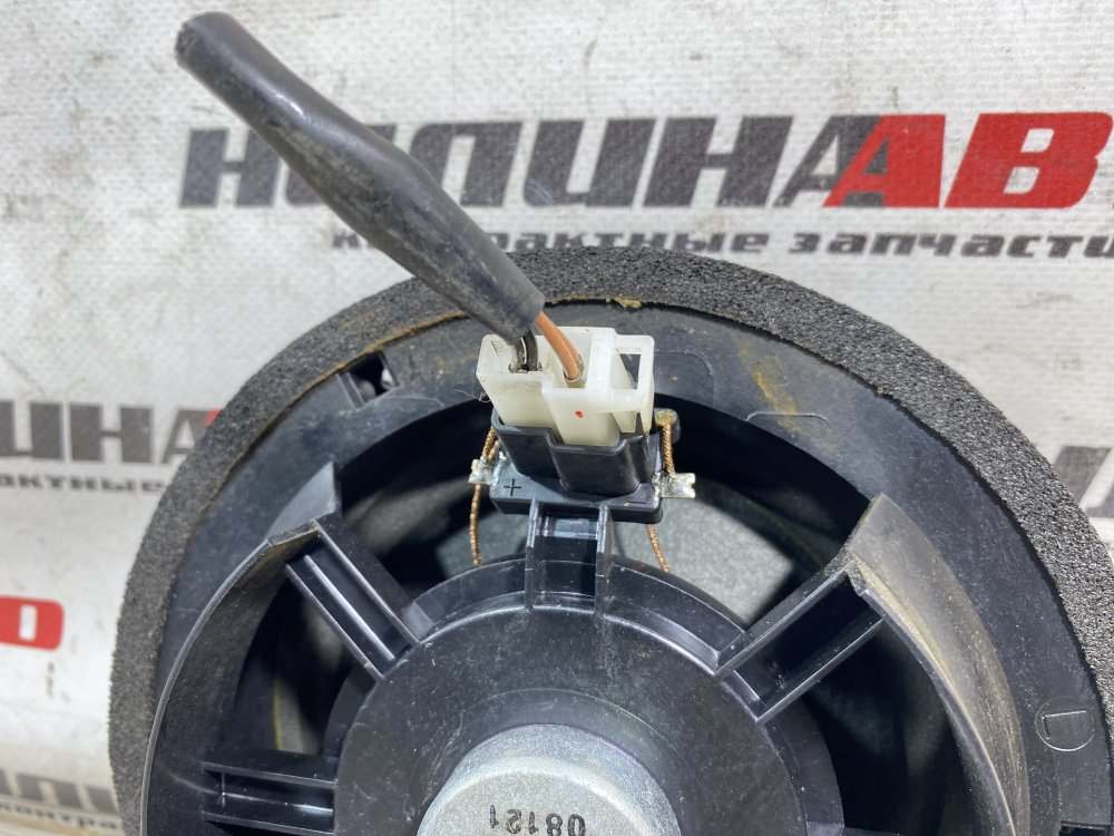 Динамик, 1000 рублей, Севастополь