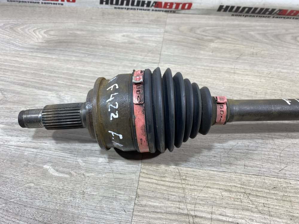 Привод, 8000 рублей, Севастополь