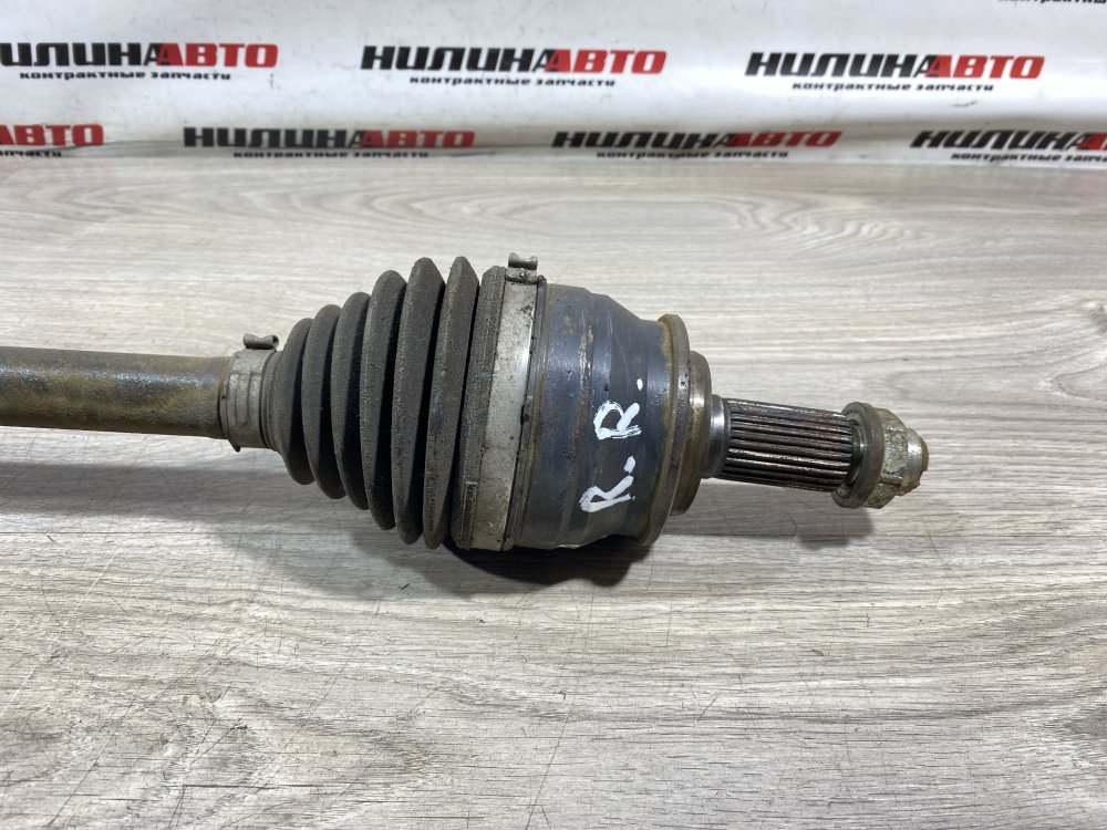 Привод, 1900 рублей, Севастополь