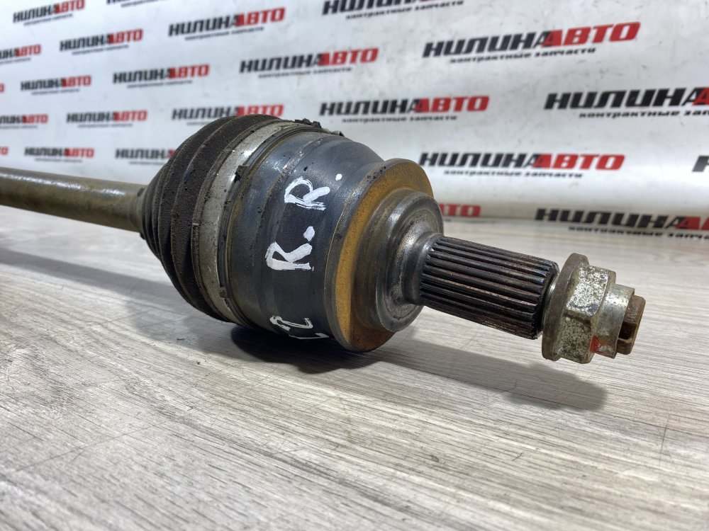 Привод, 1900 рублей, Севастополь