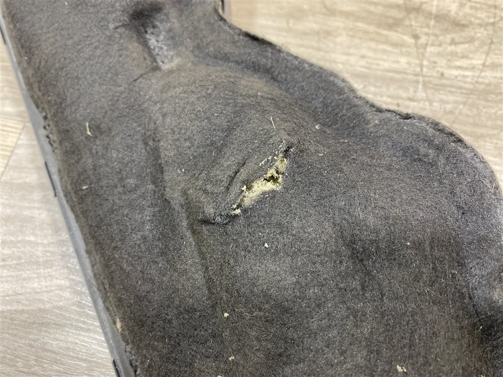 Щит моторного отсека, 1500 рублей, Севастополь