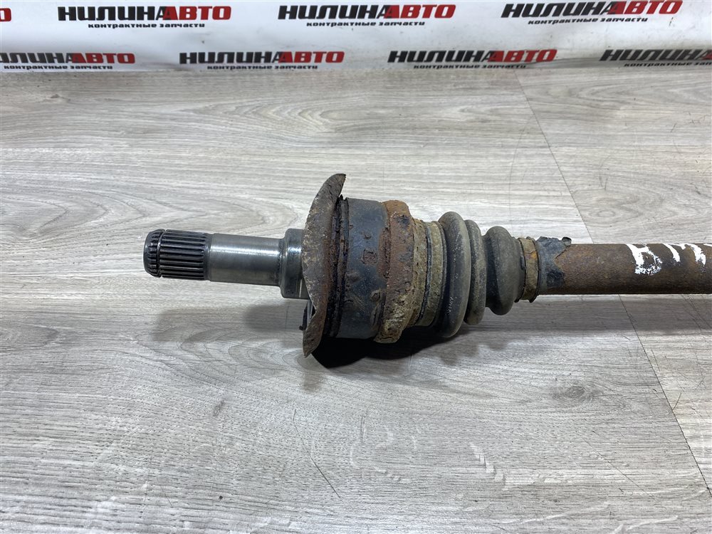 Привод, 5000 рублей, Севастополь