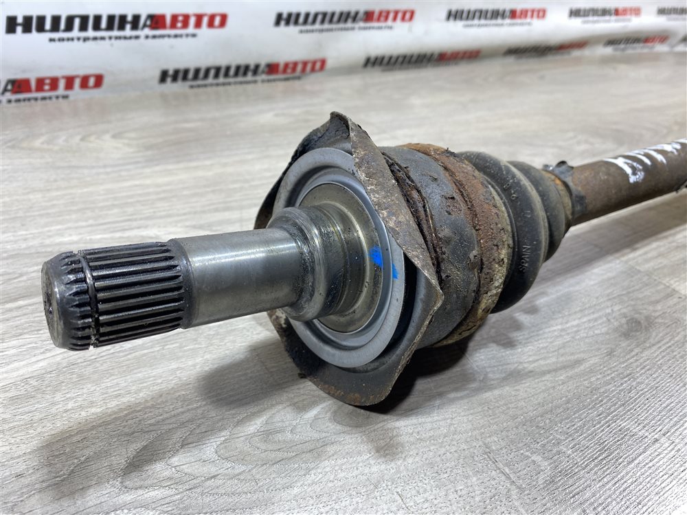 Привод, 5000 рублей, Севастополь