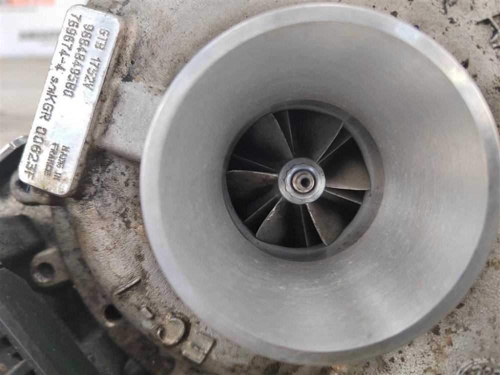 Турбина, 9500 рублей, Москва