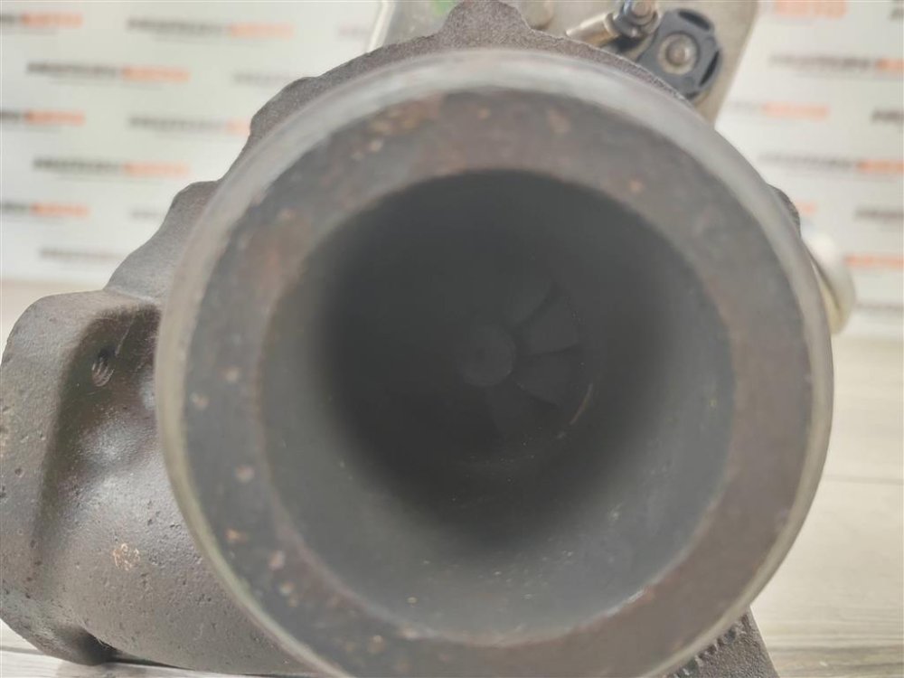 Турбина, 9500 рублей, Москва