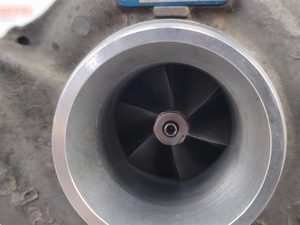 Турбина, 6000 рублей, Москва