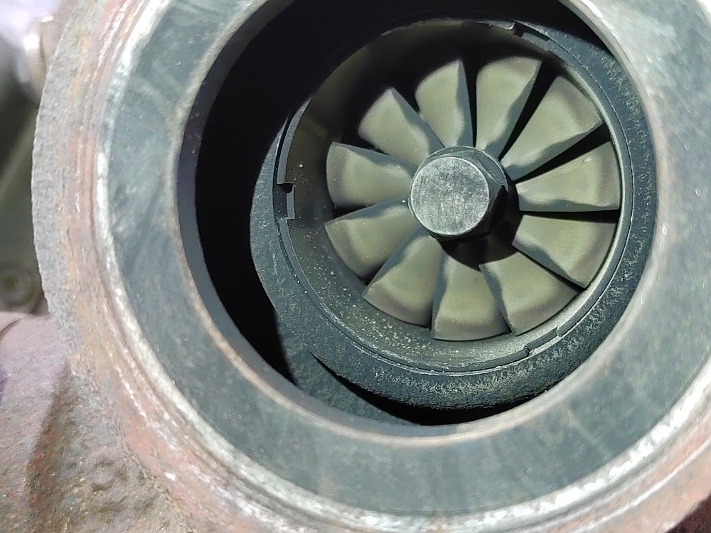 Турбина, 14500 рублей, Москва