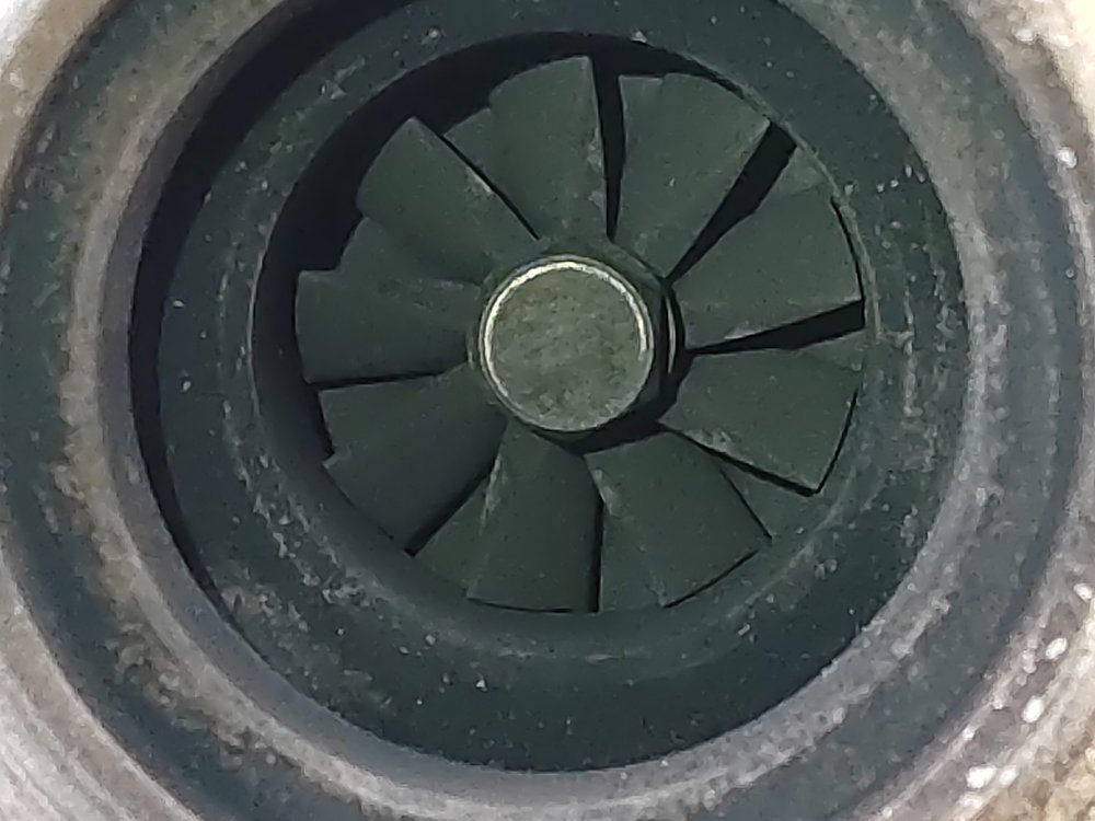 Турбина, 14000 рублей, Москва