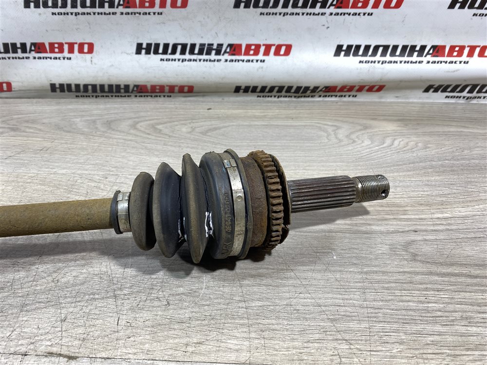 Привод, 3000 рублей, Севастополь