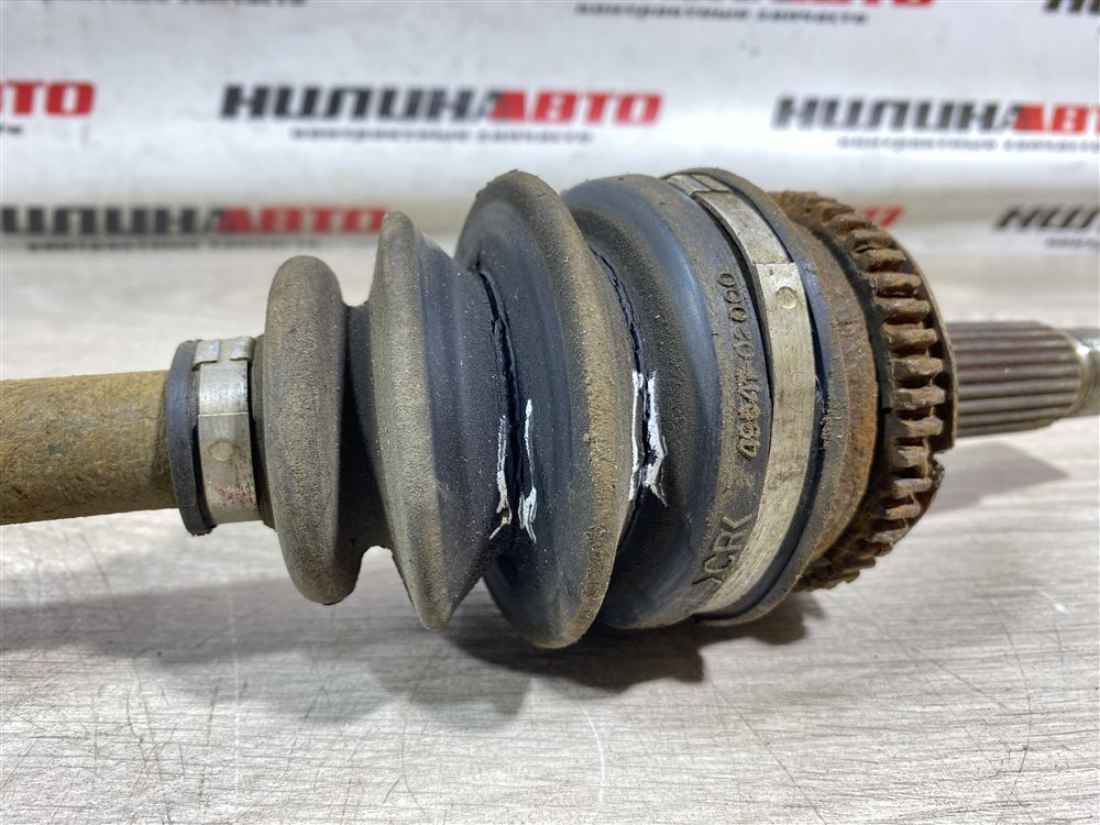 Привод, 3000 рублей, Севастополь