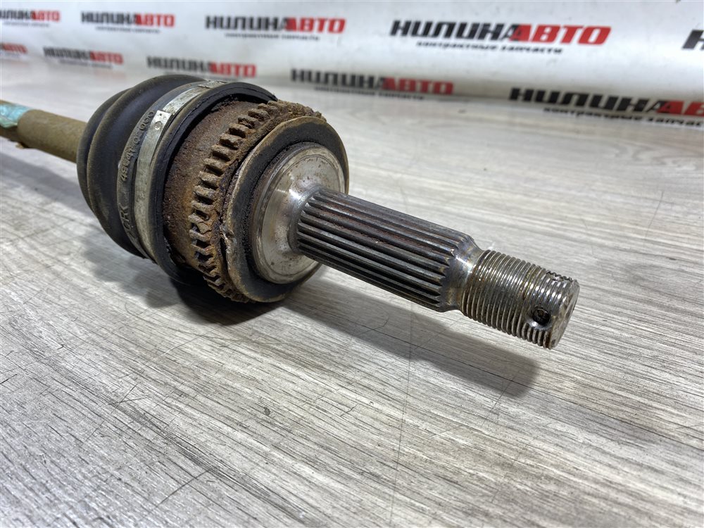 Привод, 3000 рублей, Севастополь