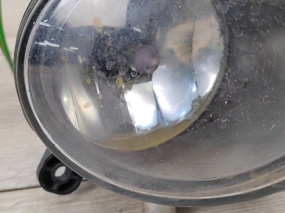 ПТФ, 1200 рублей, Москва