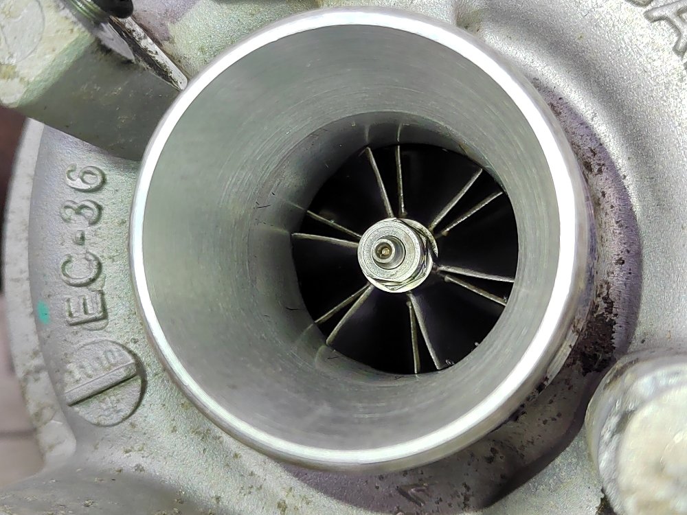 Турбина, 20000 рублей, Москва