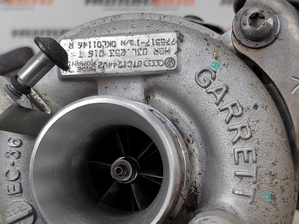 Турбина, 20000 рублей, Москва