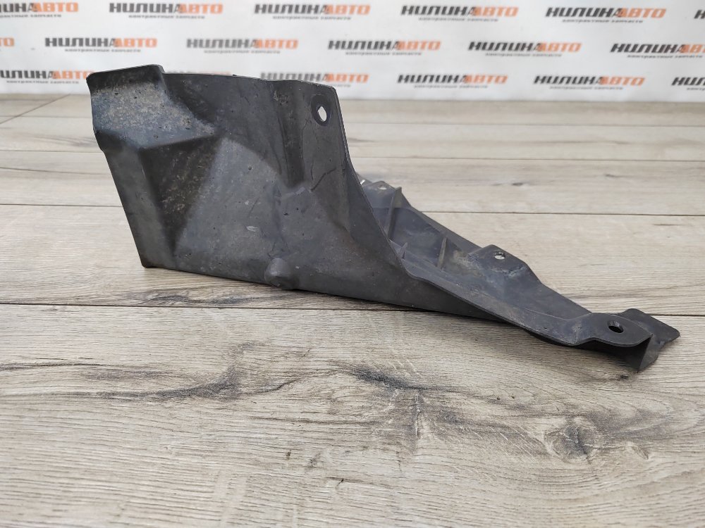 Брызговик, 1000 рублей, Москва